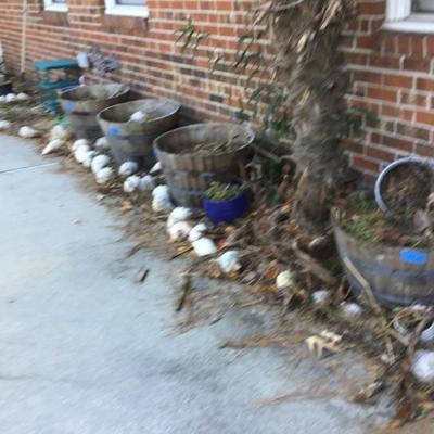 Sale Photo Thumbnail #102