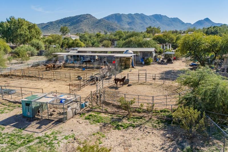 Sale Photo Thumbnail #4