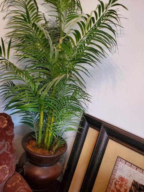 Sale Photo Thumbnail #43