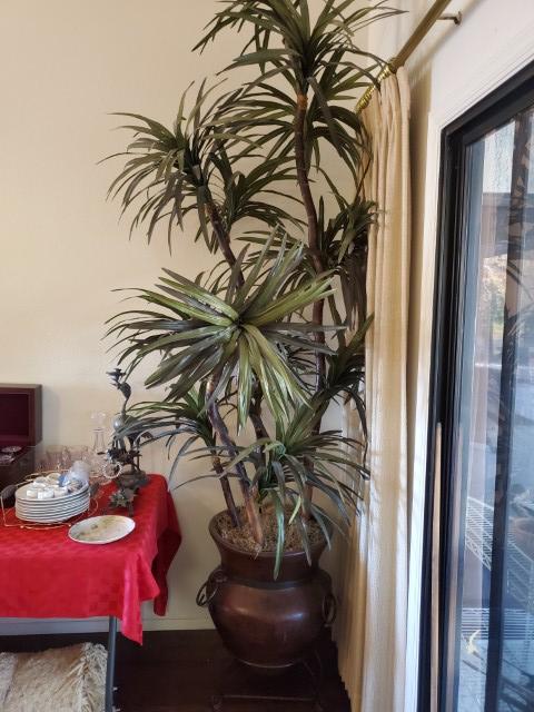 Sale Photo Thumbnail #22