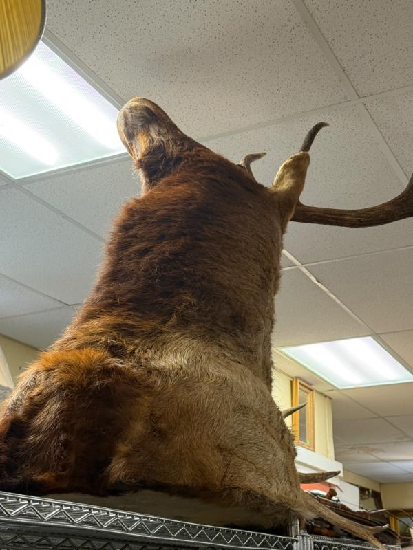 Sale Photo Thumbnail #144