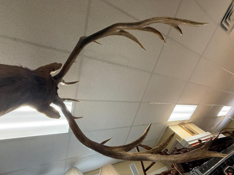 Sale Photo Thumbnail #145