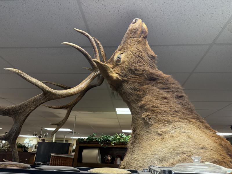 Sale Photo Thumbnail #142