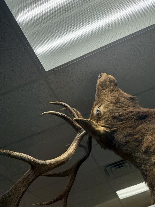 Sale Photo Thumbnail #143