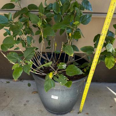 Sale Photo Thumbnail #259