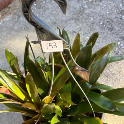 Sale Photo Thumbnail #266