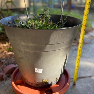 Sale Photo Thumbnail #265