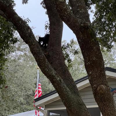 Sale Photo Thumbnail #246