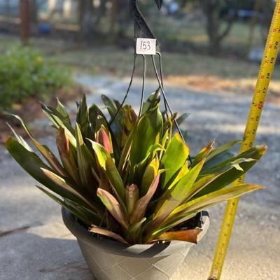 Sale Photo Thumbnail #267