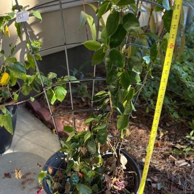 Sale Photo Thumbnail #263