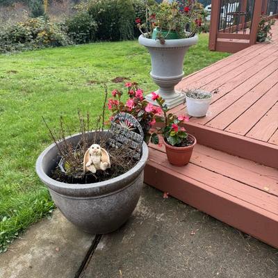 Sale Photo Thumbnail #51