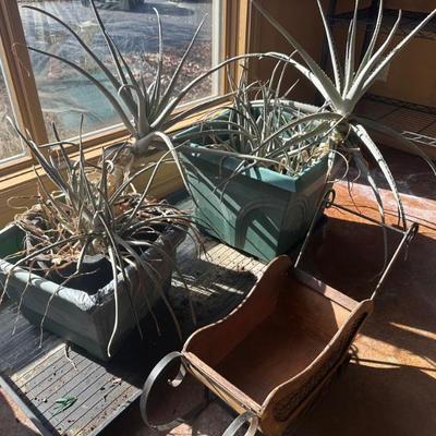 Sale Photo Thumbnail #679