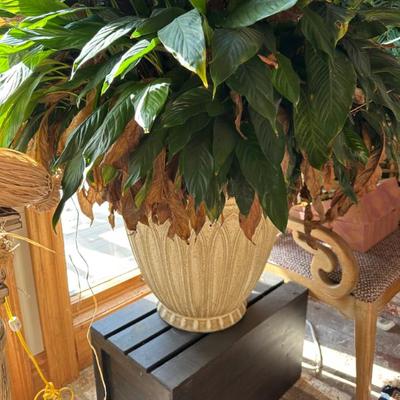 Sale Photo Thumbnail #200