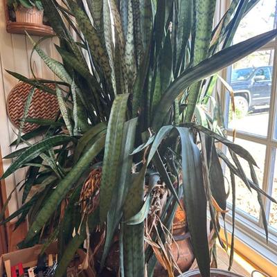 Sale Photo Thumbnail #414