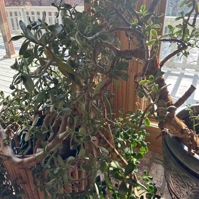 Sale Photo Thumbnail #381