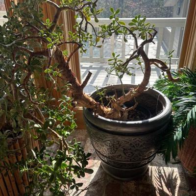 Sale Photo Thumbnail #380