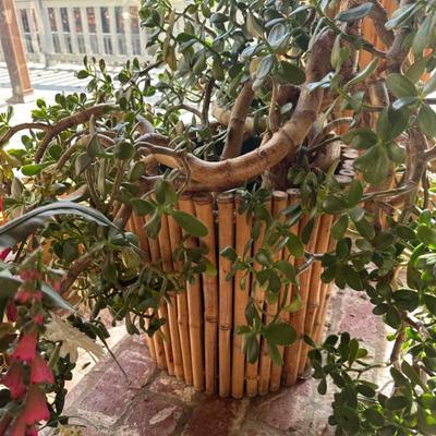 Sale Photo Thumbnail #382