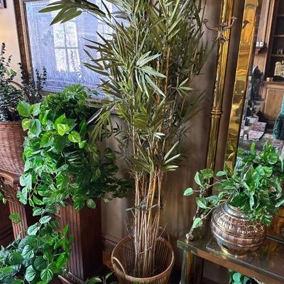 Sale Photo Thumbnail #50