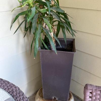 Sale Photo Thumbnail #18