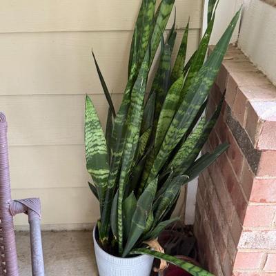 Sale Photo Thumbnail #19