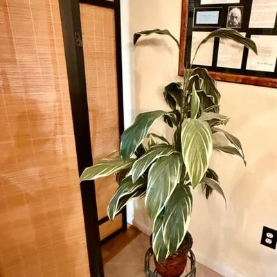 Sale Photo Thumbnail #95