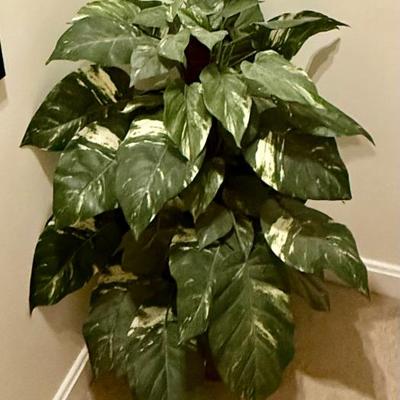 Sale Photo Thumbnail #133