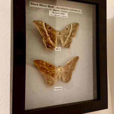 Sale Photo Thumbnail #50