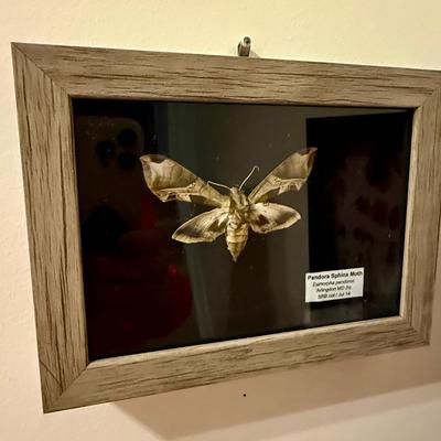 Sale Photo Thumbnail #134