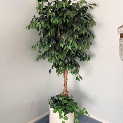 Sale Photo Thumbnail #5