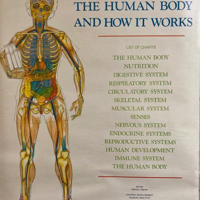 Sale Photo Thumbnail #78