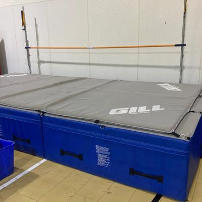 Sale Photo Thumbnail #17: 3 Gill pads for High Jump Set