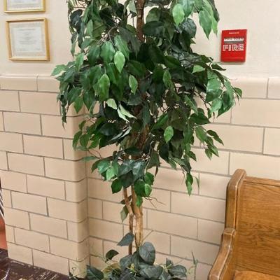 Sale Photo Thumbnail #137