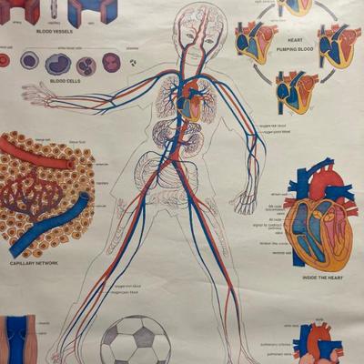 Sale Photo Thumbnail #77