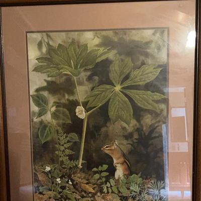 Jean Vietor "Som Brella" Ltd Edition Print (Framed)