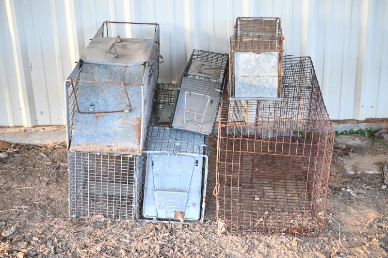 Sale Photo Thumbnail #371