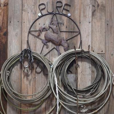 Sale Photo Thumbnail #300