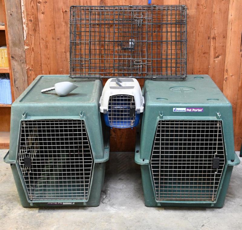 Sale Photo Thumbnail #363