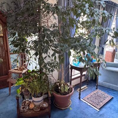 Sale Photo Thumbnail #385