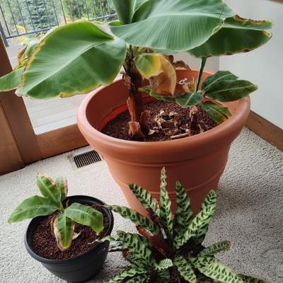 Sale Photo Thumbnail #61