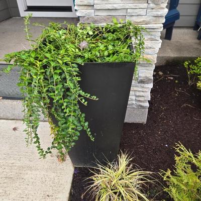 Sale Photo Thumbnail #37