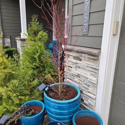 Sale Photo Thumbnail #38