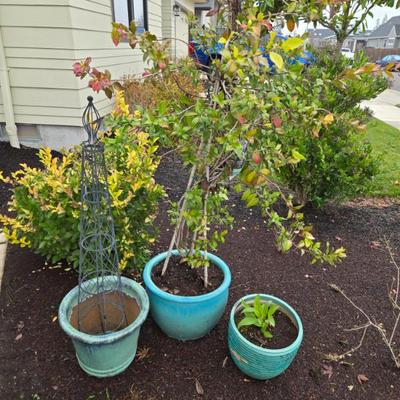 Sale Photo Thumbnail #40