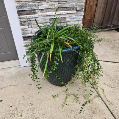 Sale Photo Thumbnail #39