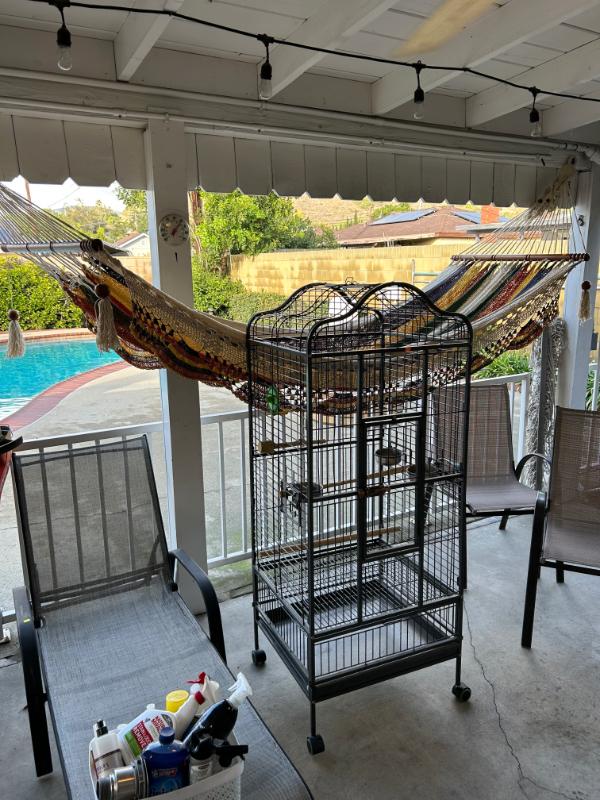 Sale Photo Thumbnail #9