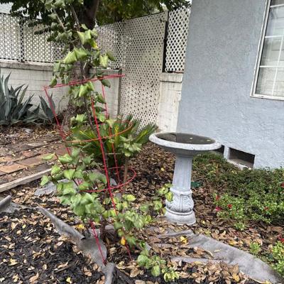 Sale Photo Thumbnail #55