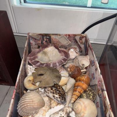 Sale Photo Thumbnail #115