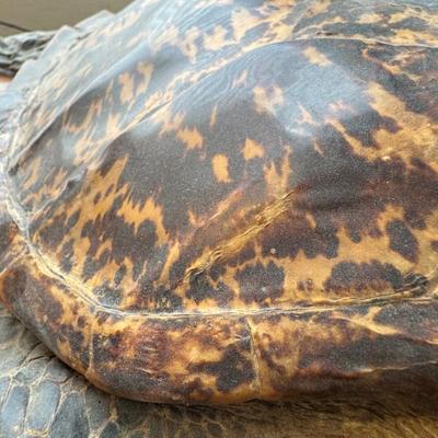 Sale Photo Thumbnail #30