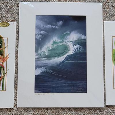 Hawaiian Artwork (FR)