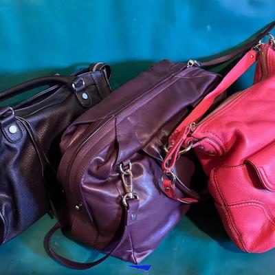 Leather Handbag Collection- Coral Coach, Christophed Kon, Steve Madden