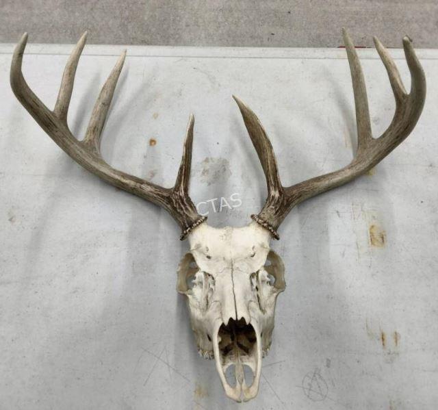 Sale Photo Thumbnail #11